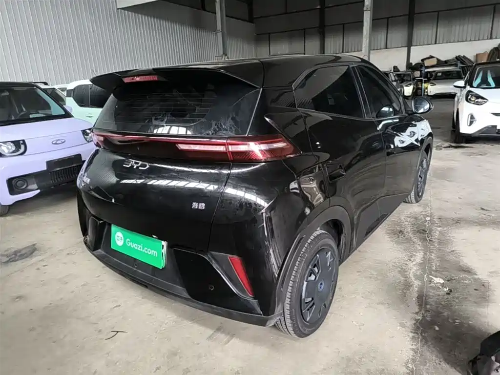 BYD Seagull 2025 Smart Drive Edition 305km Vitality Version фото 7