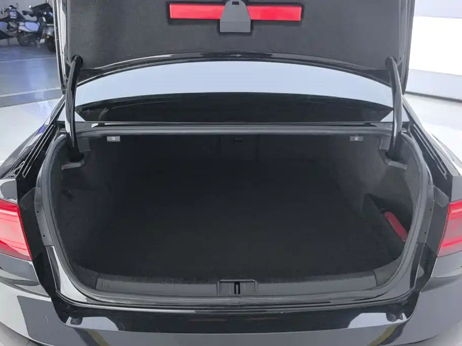 Фото 4 - Volkswagen Magotan GTE Plug-in Hybrid