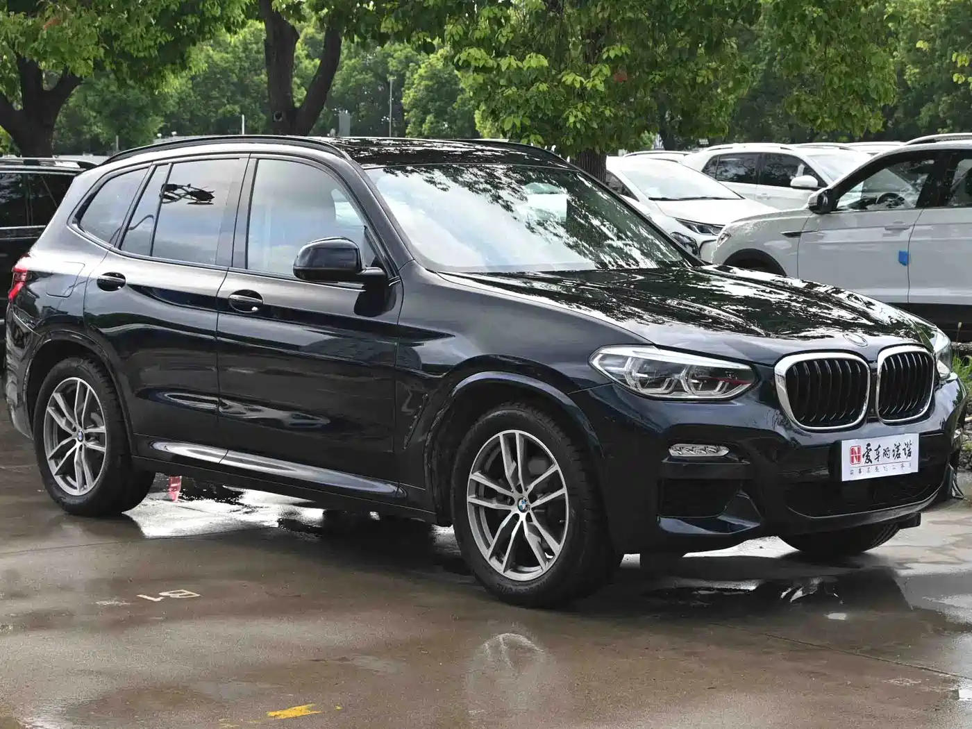 BMW X3 2018 2018 xDrive30i Leading M Sport Package China V