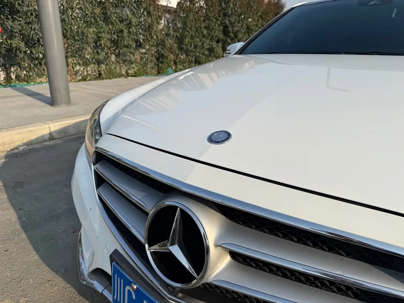 Mercedes-Benz E-Class 2014 E 300 L Sport Luxury фото 5
