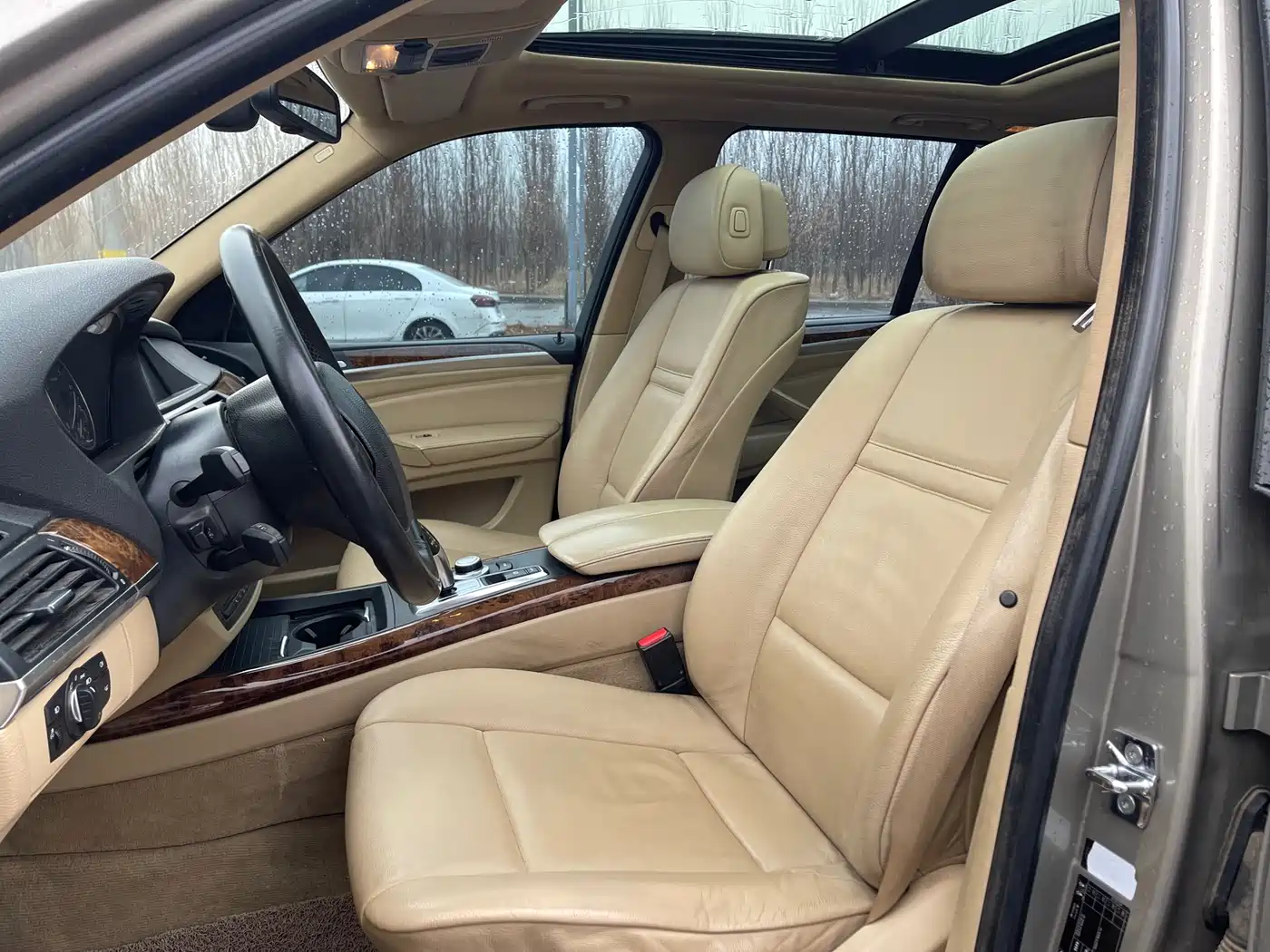BMW X5 (Import) 2009 xDrive30i Luxury фото 8