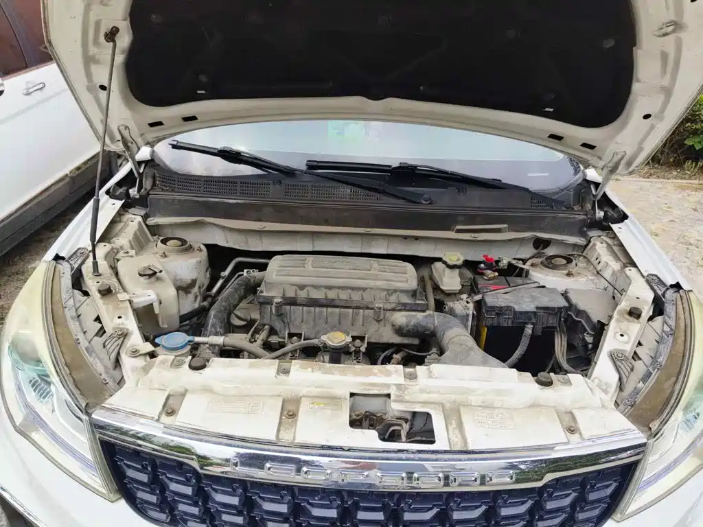 Leopaard CS9 2018 2018 1.5T CVT Vigorous Edition