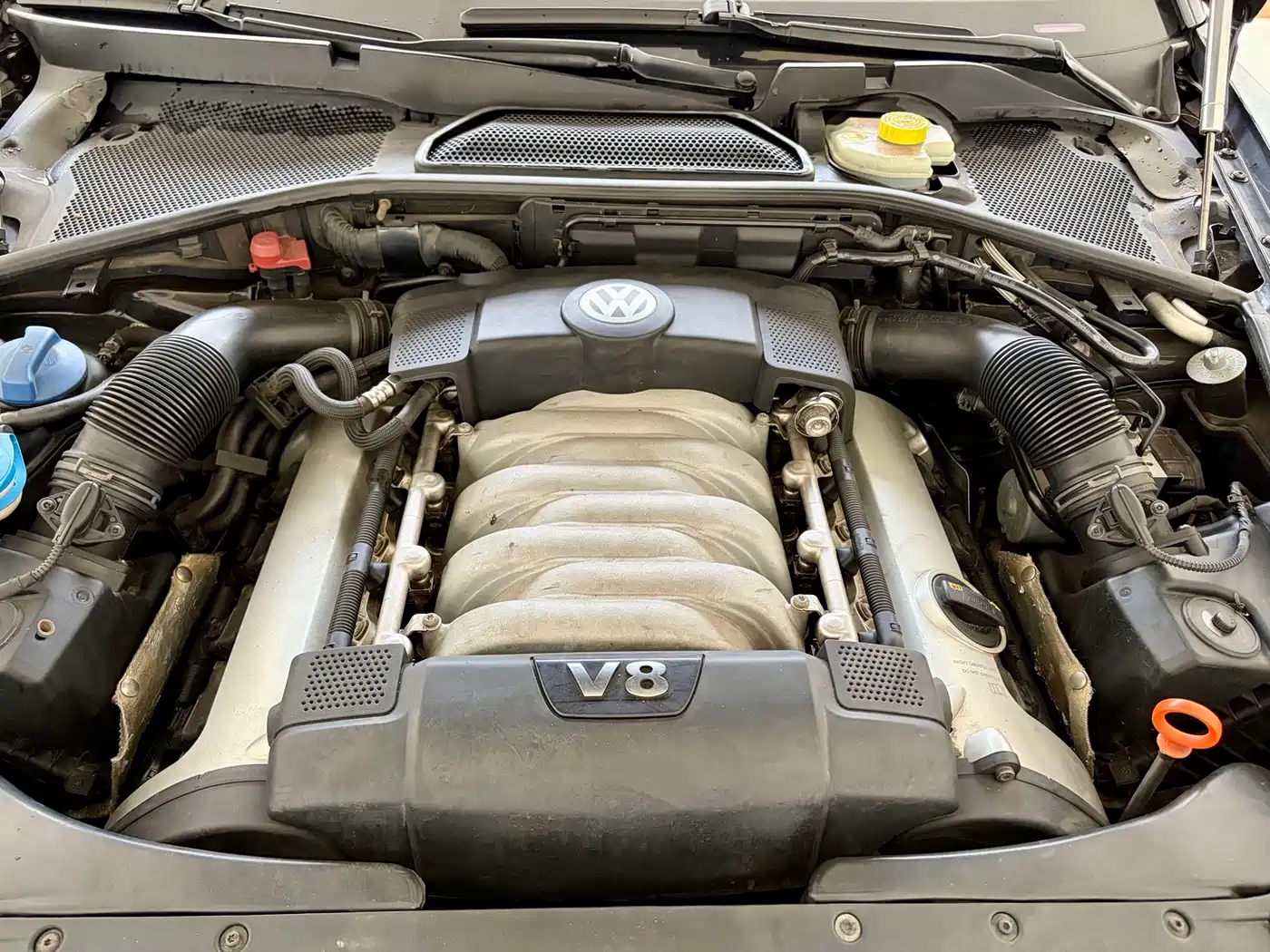 Volkswagen Phaeton 2012 2012 4.2L Luxury Custom
