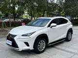 Фото 1 - Lexus NX