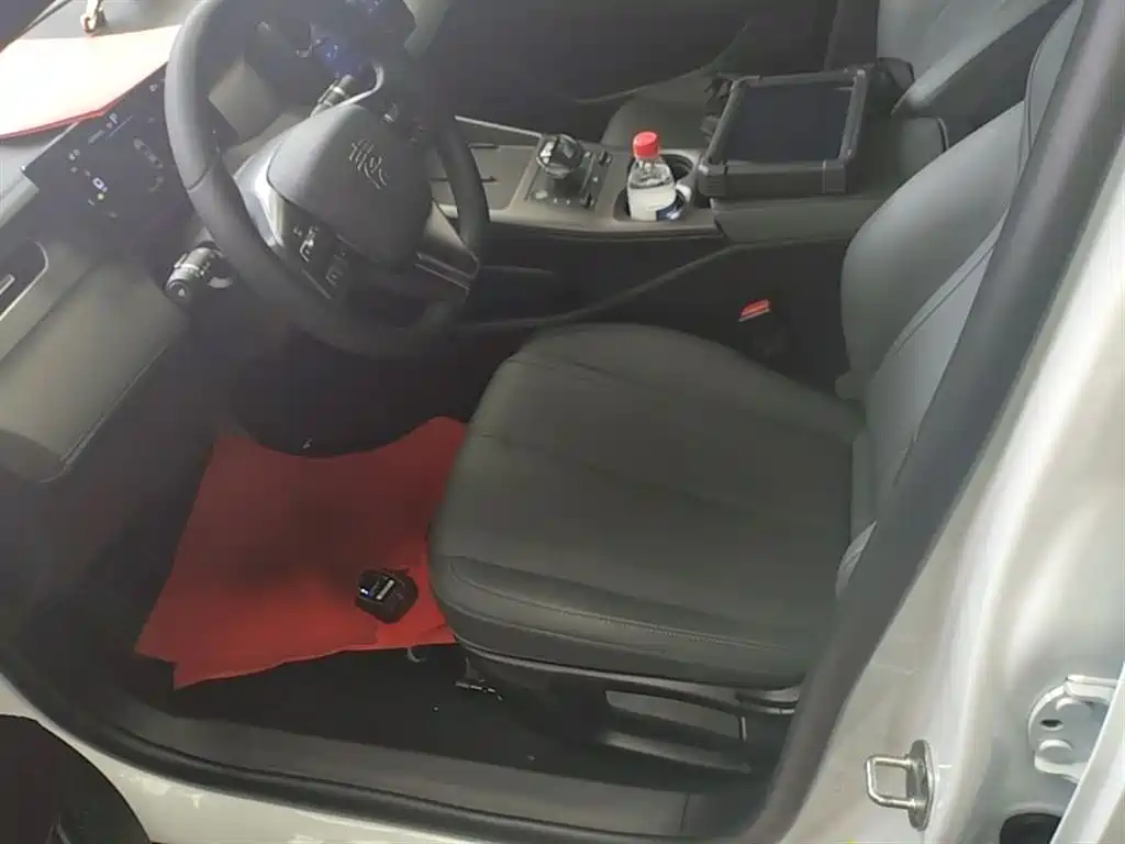 BYD Qin PLUS 2025 DM-i Smart Drive 55KM Leader фото 15
