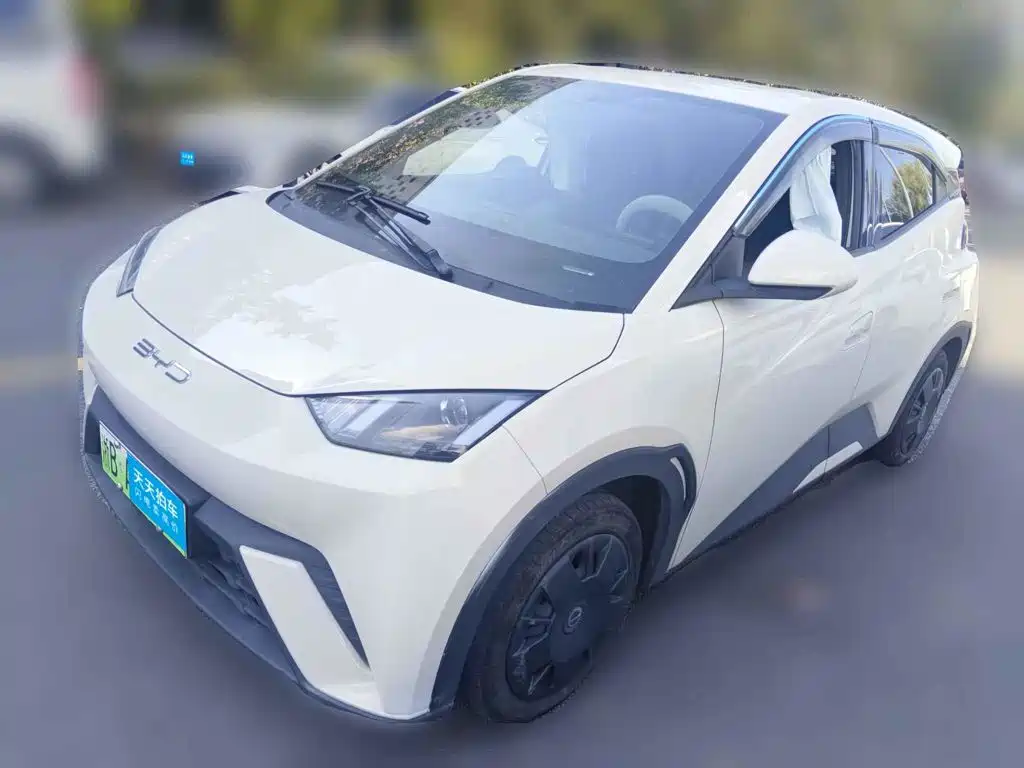 BYD Seagull 2023