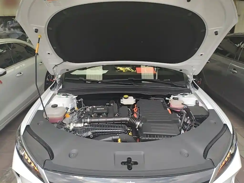 BYD Qin PLUS 2025 DM-i Smart Drive 55KM Leader фото 20