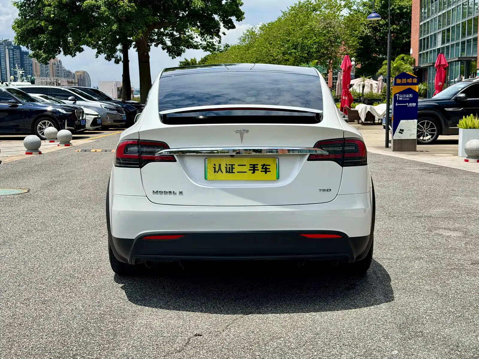 Фото 8 - Tesla Model X