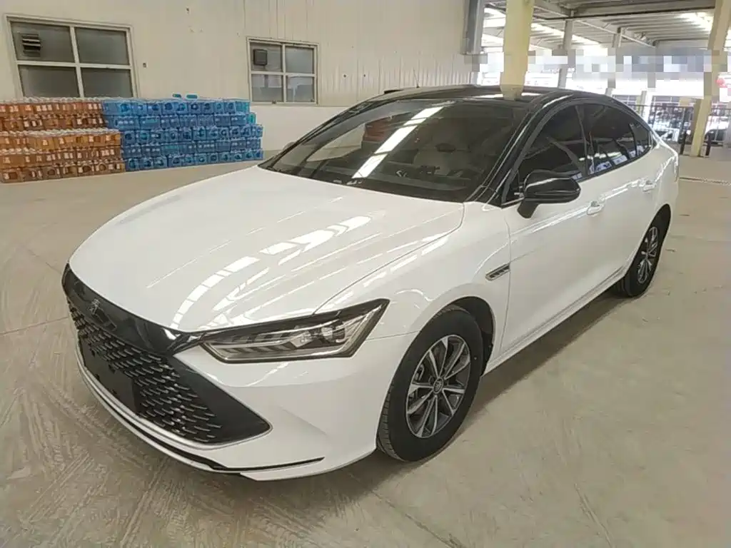 BYD Qin PLUS 2024