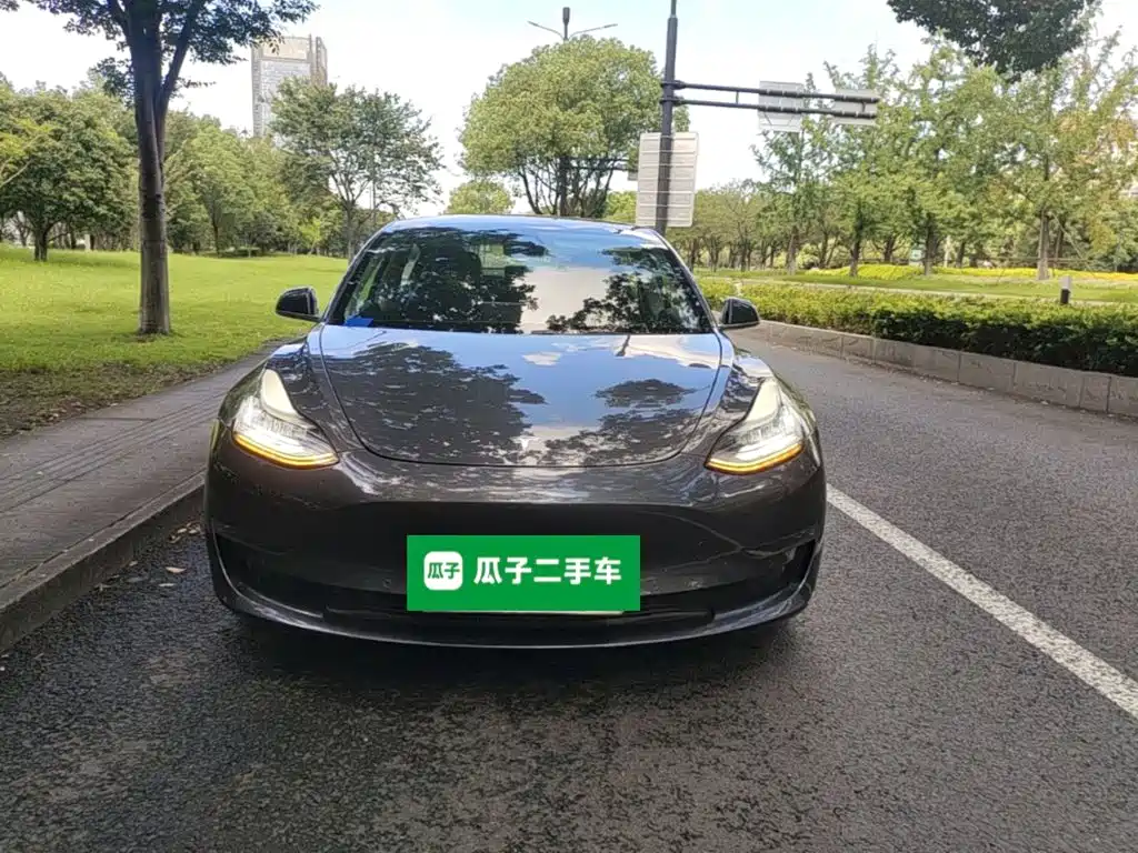 Tesla Model 3 (Import) 2019 2019 Long Range RWD Version