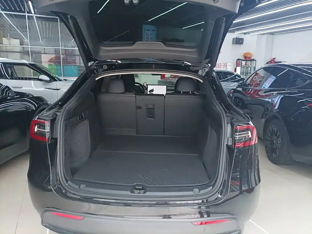 Tesla Model Y 2021 2021 Standard Range Rear-Wheel Drive