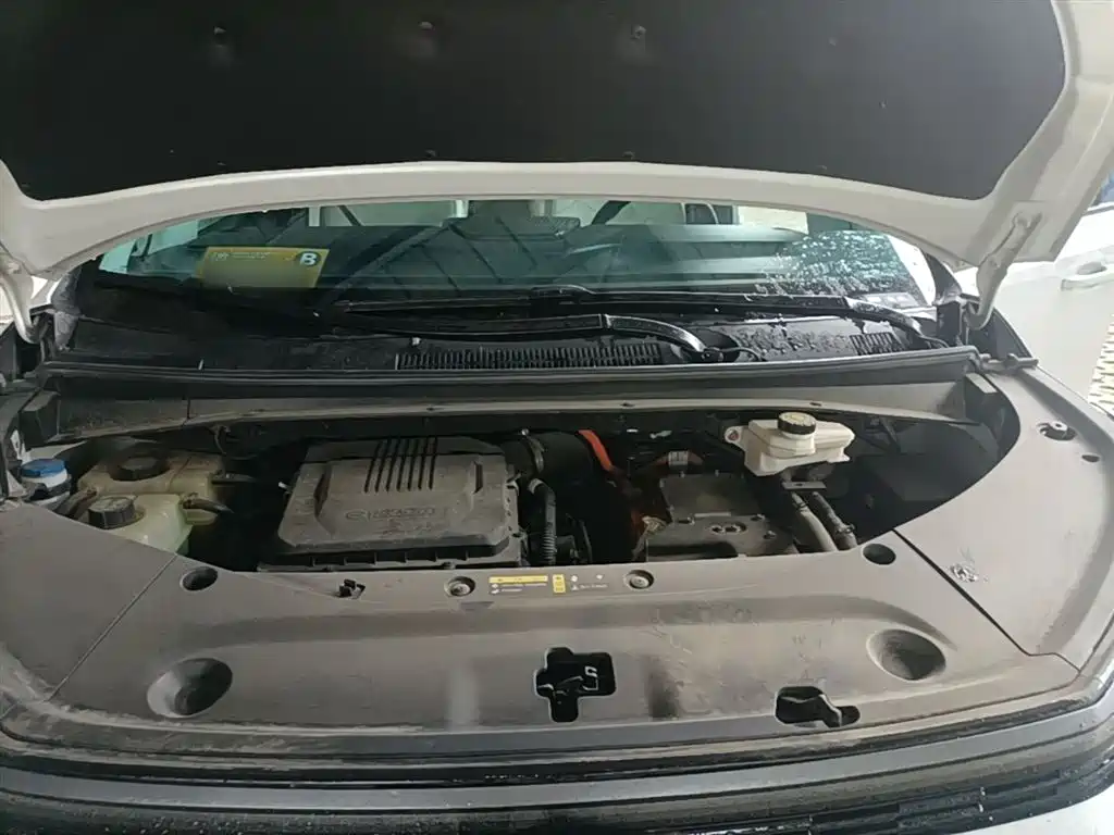GAC Trumpchi Trumpchi E9 2023 E9 Champion Edition фото 20