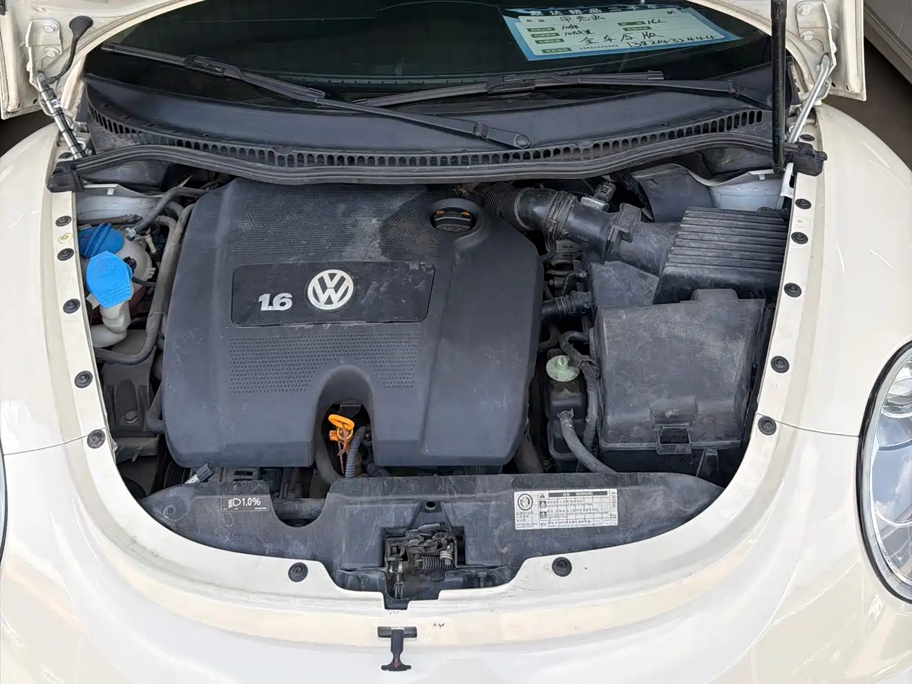 صورة 13 - Volkswagen Beetle