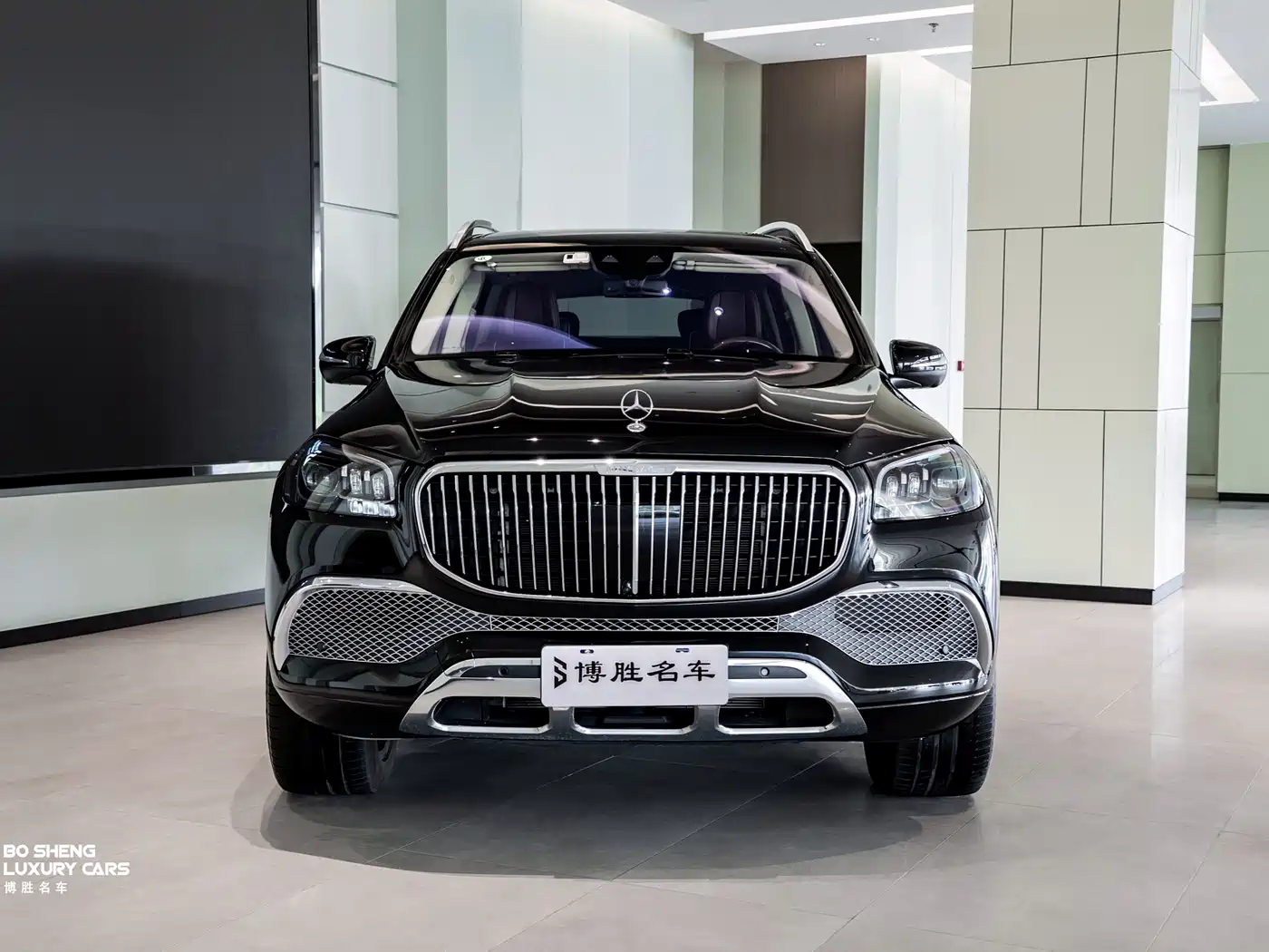 Mercedes-Benz Maybach GLS 2022 GLS 600 4MATIC Ceremony Edition фото 2