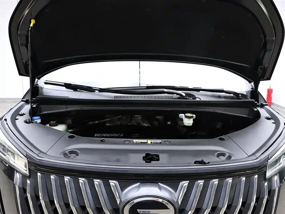 GAC Trumpchi Trumpchi M8 2024 Master Series 400T Premium Edition фото 32