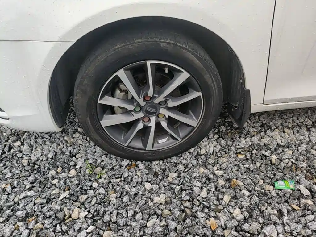 Фото 23 - Geely Emgrand