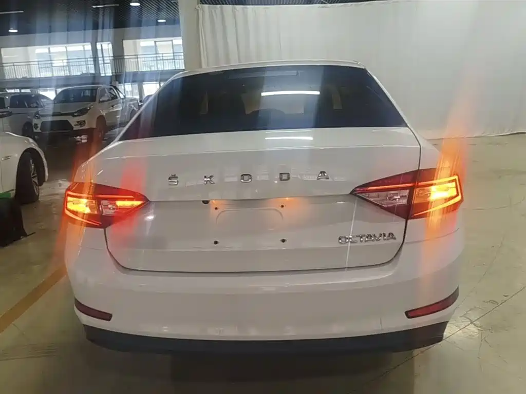 Škoda Rapid 2020 1.5L Manual Standard фото 6