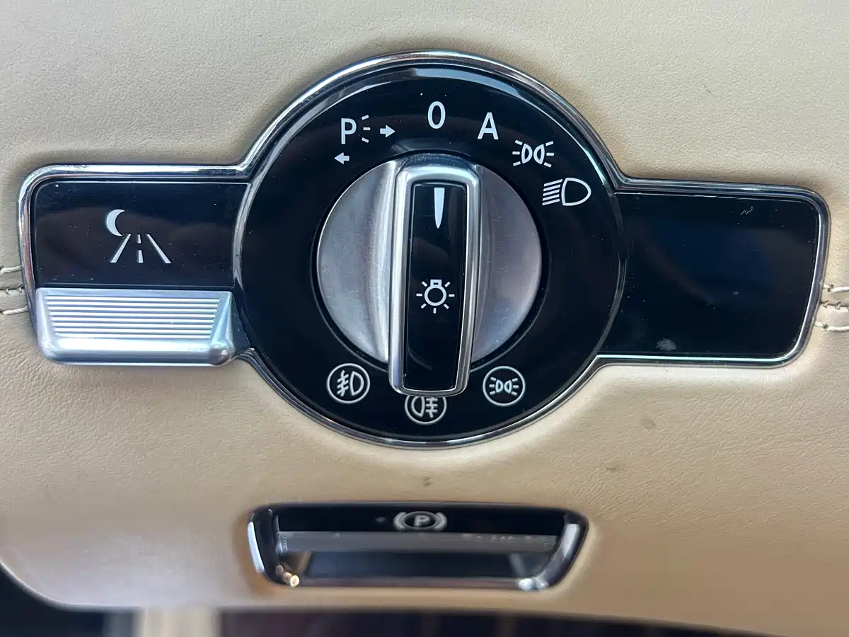 Mercedes-Benz S-Class 2008 Model S 600 L фото 20