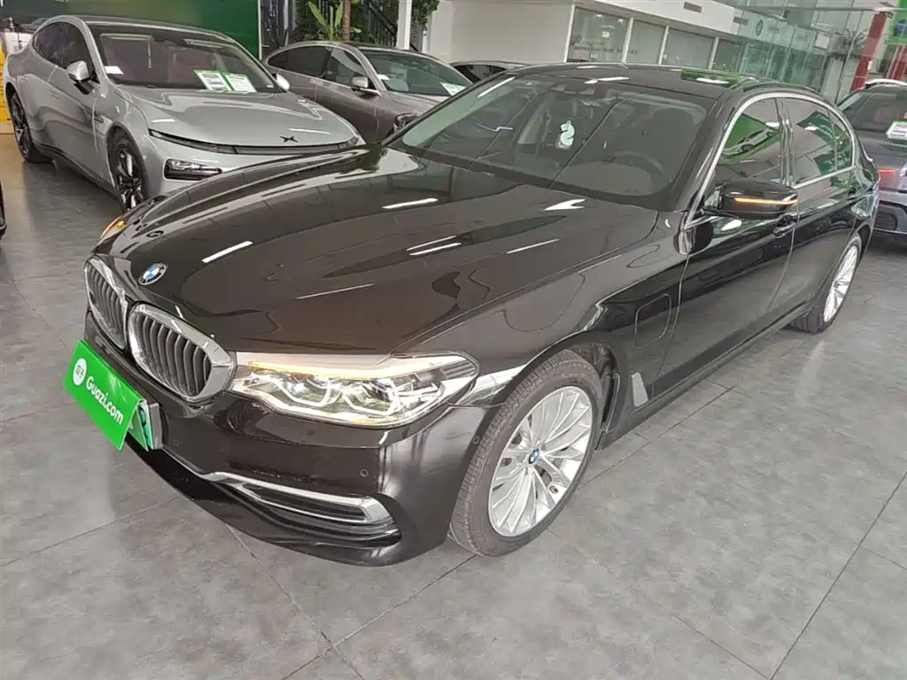 BMW 5 Series New Energy 2020 530Le Range Upgrade Pioneer Edition
