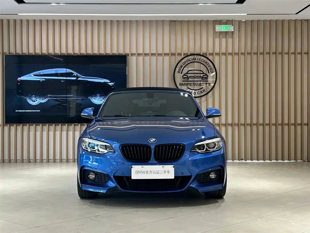 BMW 2 Series (Import) 2019 225i Convertible Coupe Exclusive M Sport Package фото 17