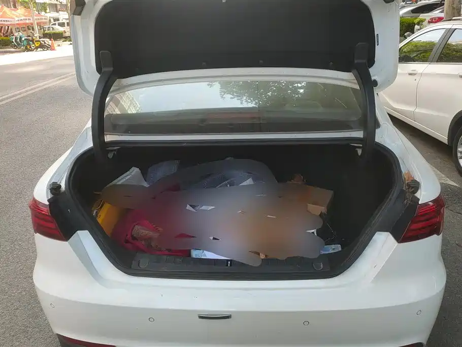 GEELY AUTOMOBILE BINRUI