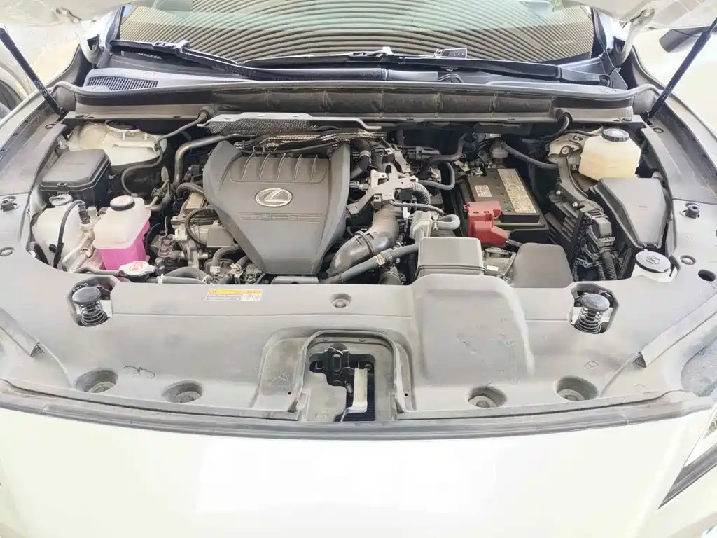 Lexus RX 2025 2026 300 AWD Premium Edition