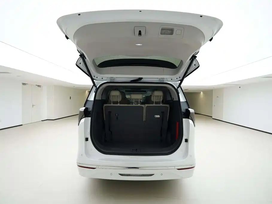 Фото 6 - Buick GL8