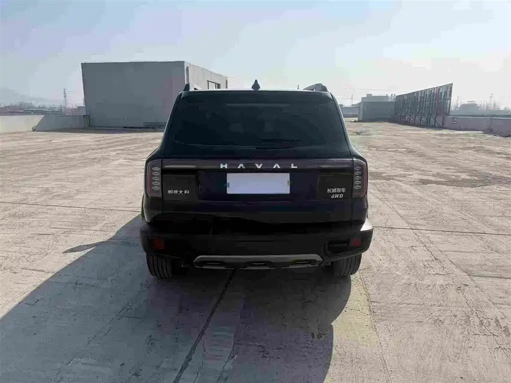 HAVAL BIG DOG