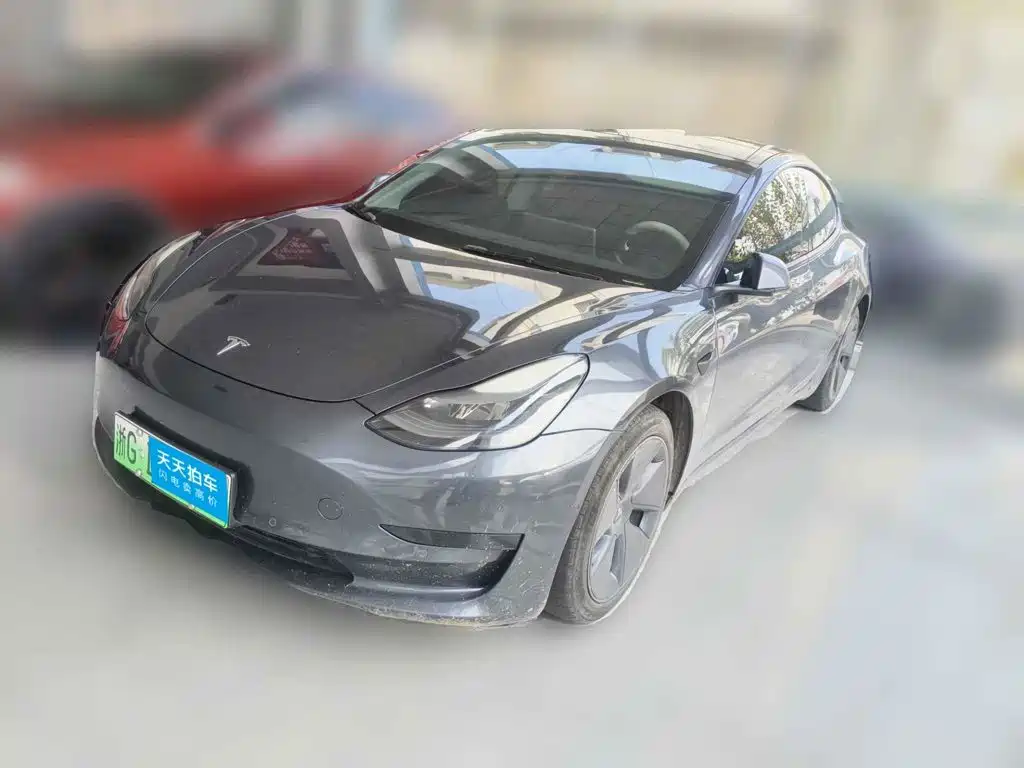 Tesla Model 3 2021