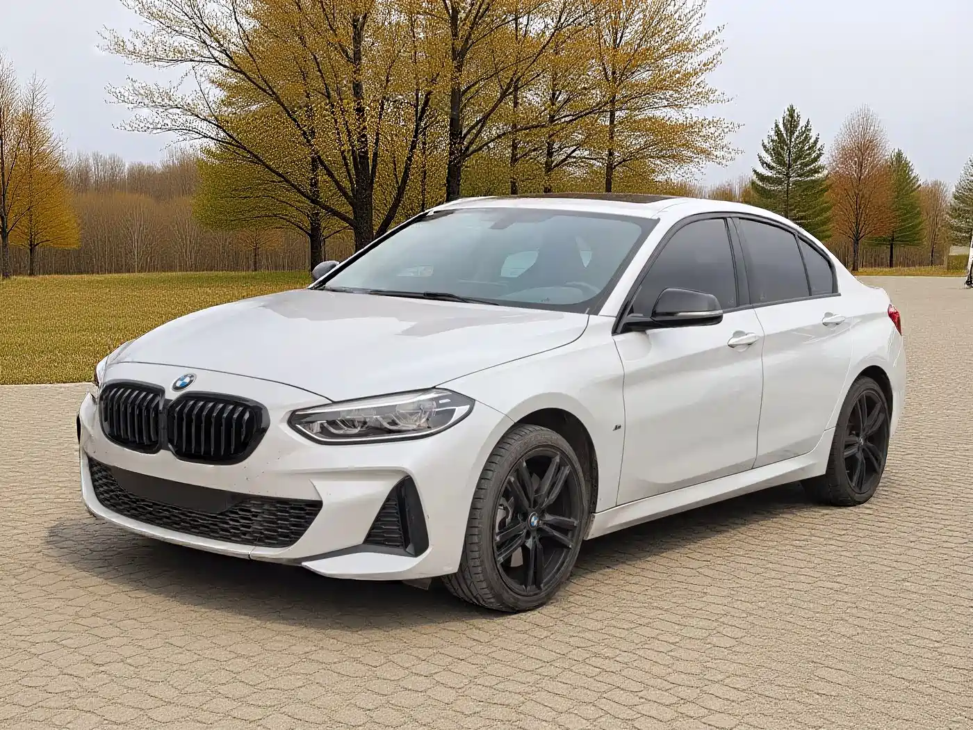 BMW 1 Series 2023 125i M Sport Shadow Edition