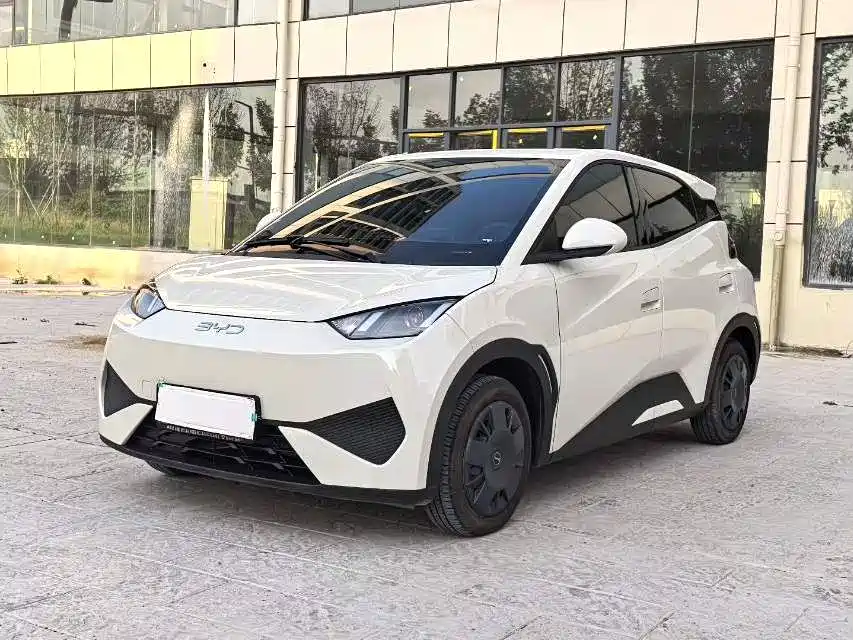 BYD Seagull 2025 Smart Drive Edition 305km Vitality Version фото 15