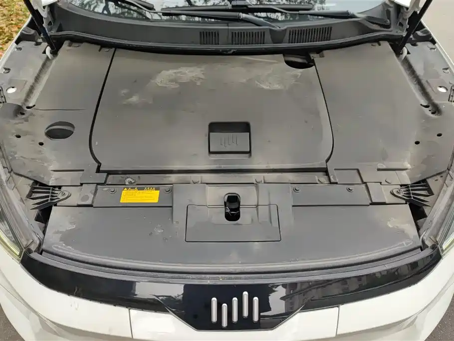 WEIMA AUTOMOBILE WEIMA EX5