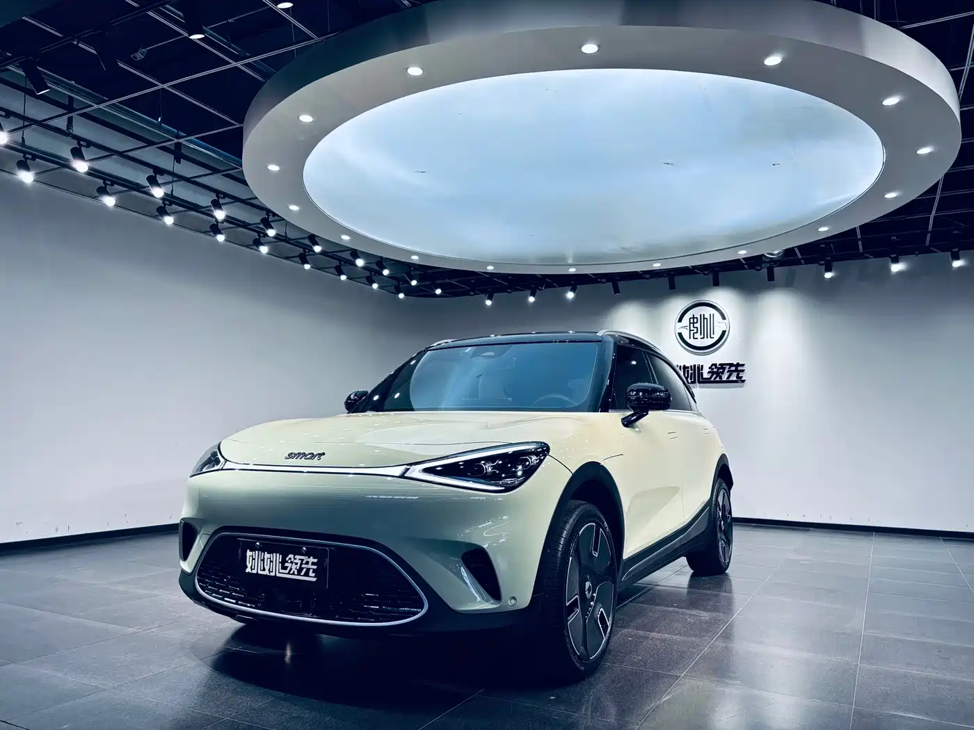 smart Elf #1 2024 2024 Premium Edition