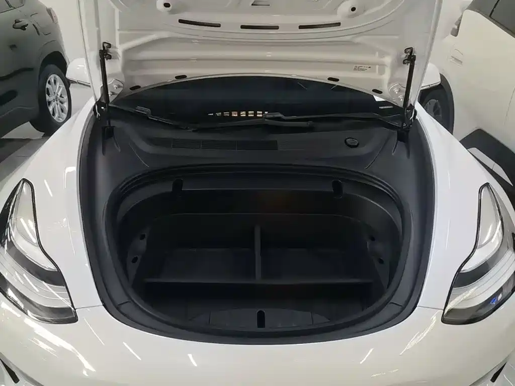 Tesla Model 3 (Import) 2020 2019 Long Range All-Wheel Drive Edition