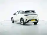 Фото 3 - BYD Dolphin
