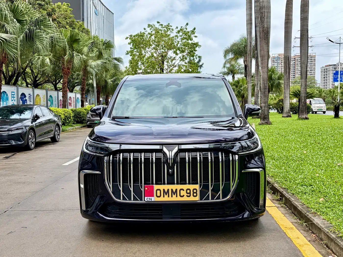 Voyah Auto Voyah Dreamer 2022 Low-carbon Edition Think+Smart Driving Package фото 2