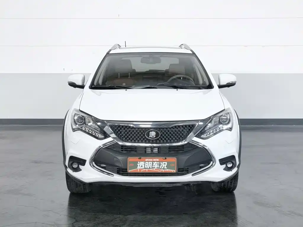 BYD Tang New Energy 2015 2015 2.0T 4WD Flagship