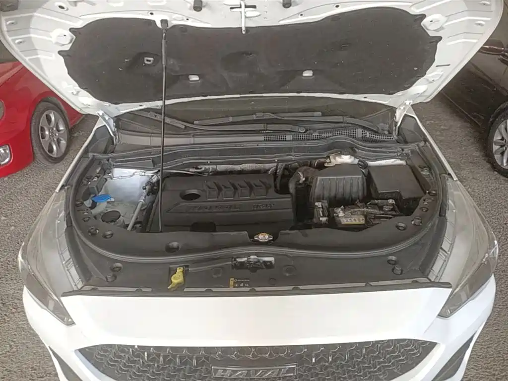 Haval M6 2019 1.5T DCT 2WD Elite Type China VI фото 20