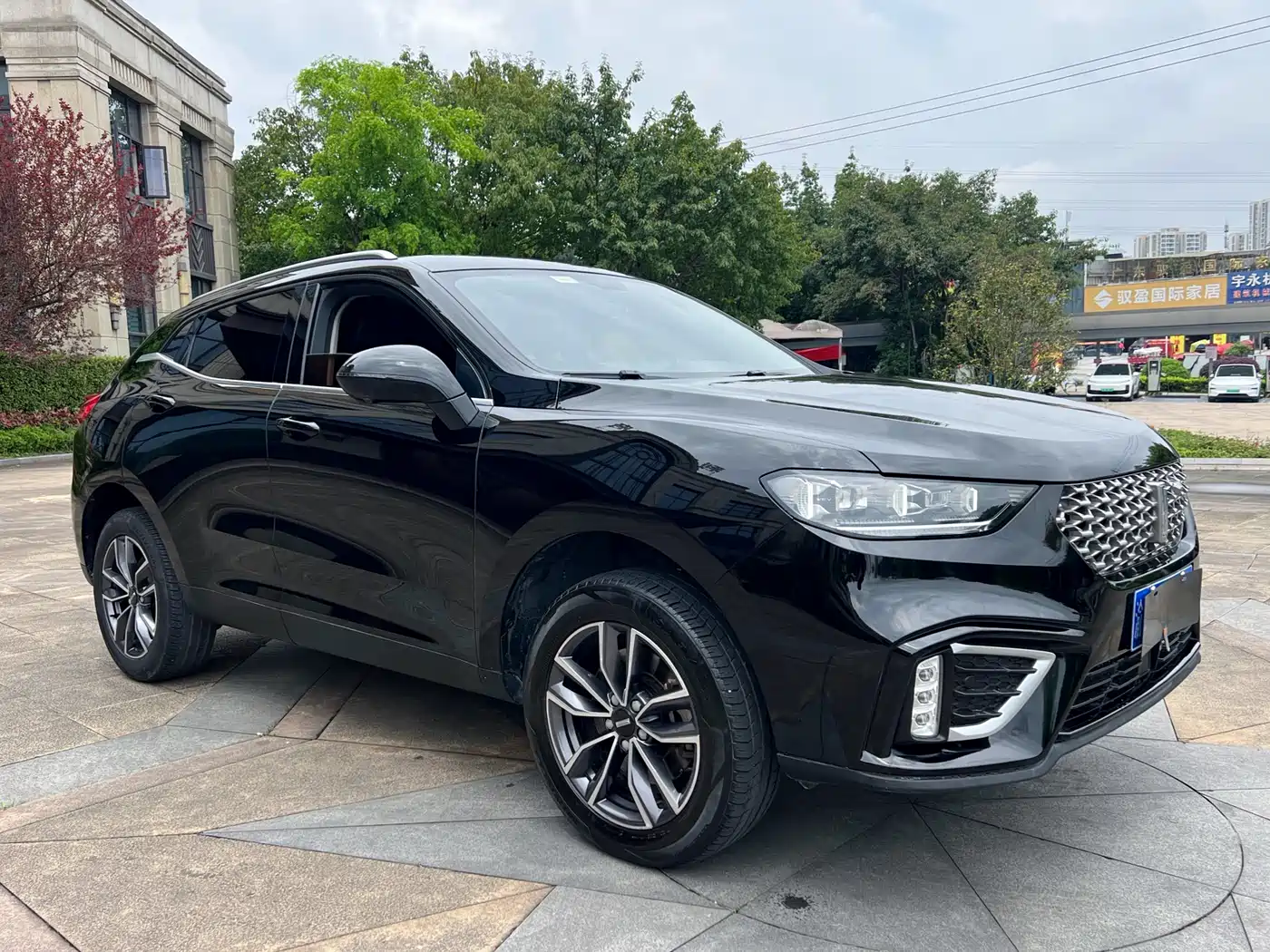 WEI PAI WEI BRAND VV5