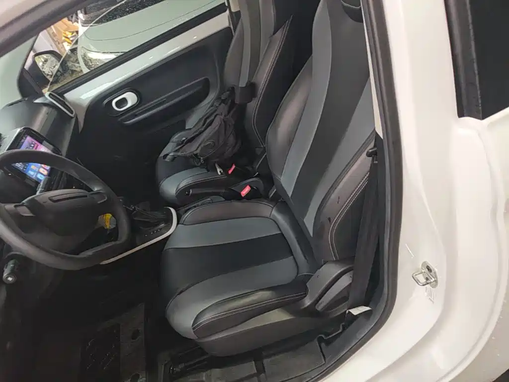 Roewe Clever 2023 2022 311km Vitality Bobo Edition