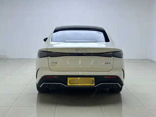 BYD Seal 06 New Energy 2024 DM-i 120KM Flagship фото 6