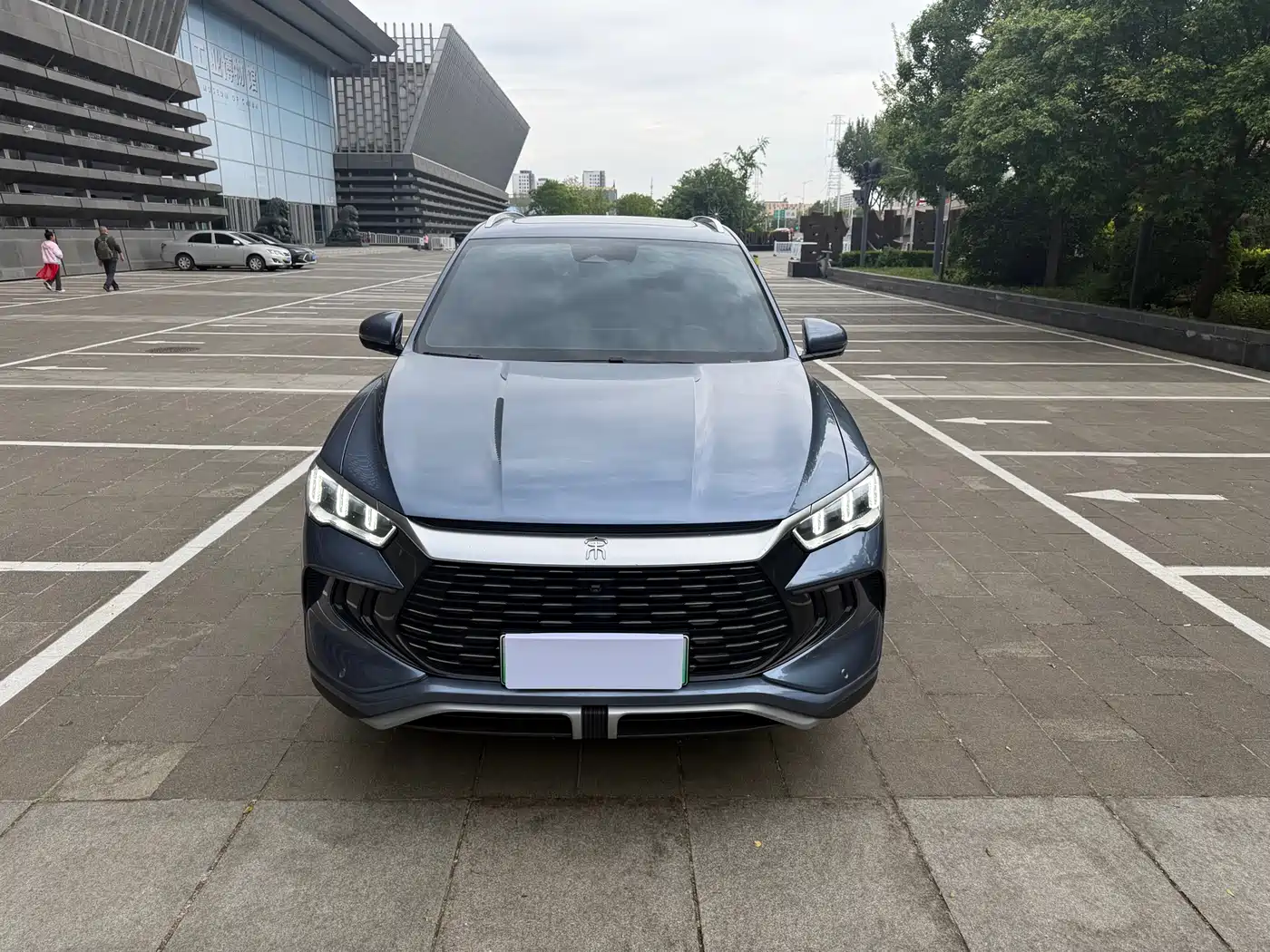 BYD Song Pro New Energy 2023 Champion Edition DM-i 110KM Surpassing Type