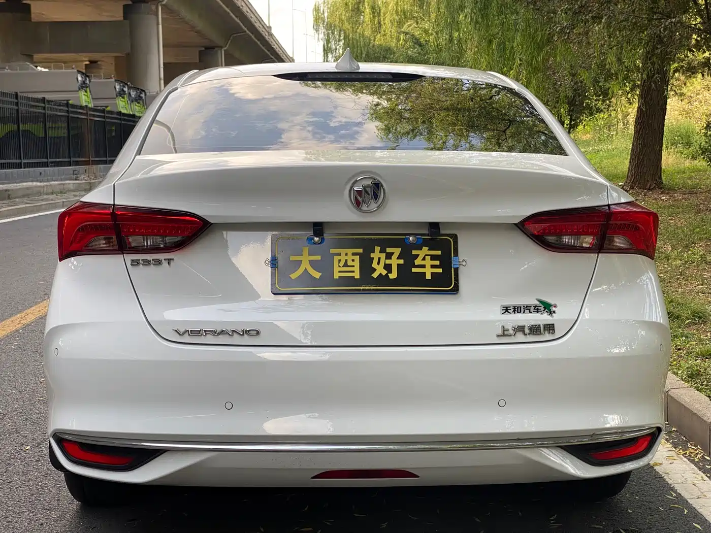BUICK WEILANG