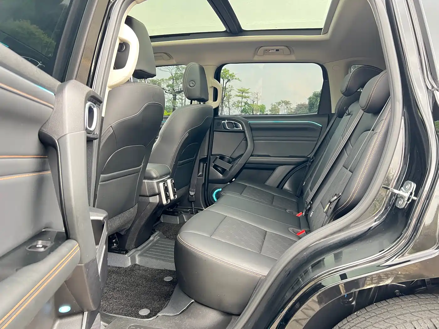 Haval Big Dog 2024 1.5T DCT Border Collie Edition фото 16
