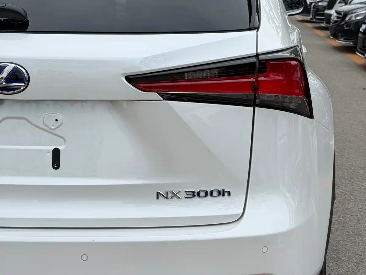 Lexus NX 2018 Model 300h AWD Fengzhi Edition China V фото 18