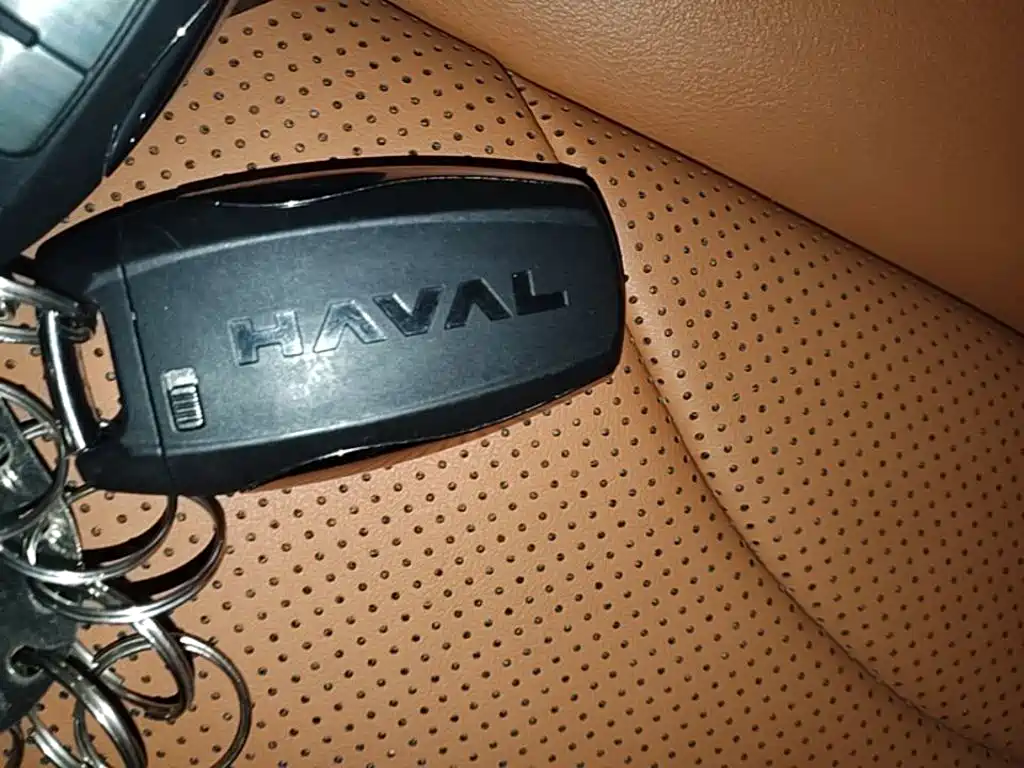 Haval H9 2024 2024 2.0T Gasoline AWD Extreme Edition