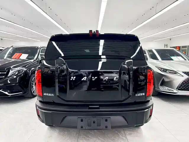 Haval Cool Dog 2022 1.5T DCT 4WD Adventure Edition — фото 5