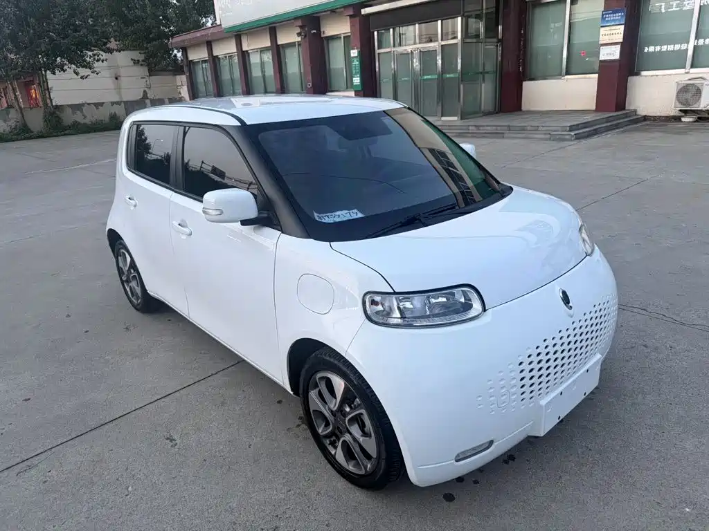 Ora White Cat 2021 2020 305km Luxury