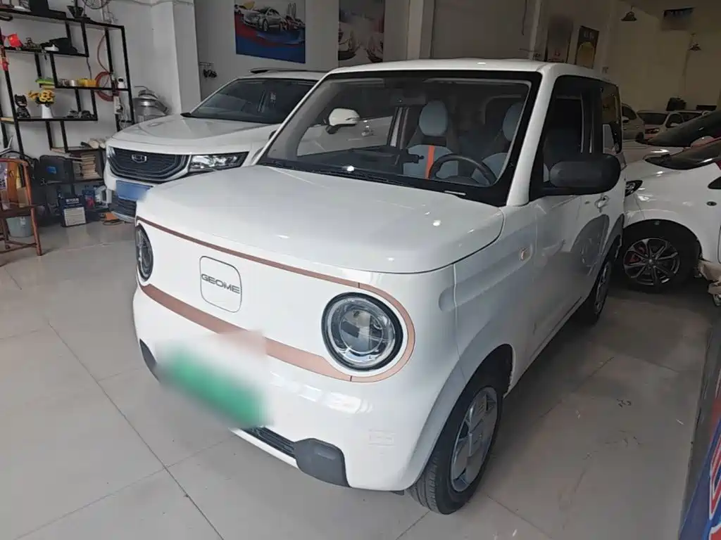 Geely Galaxy Panda 2025