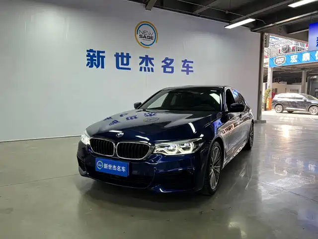 BMW 5 SERIES